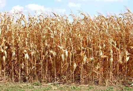 ezgif.com-gif-maker-2023-03-29T123543.142