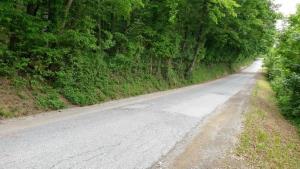 99136723_1391298487727279_7849027307233607680_n